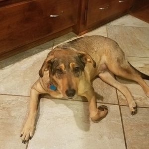 Meet your Posher, Jim